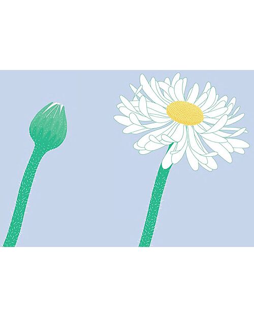 L'ippocampo Ragazzi Libro Illustrato Prima Dopo - Anne-Margot Ramstein & Matthias Aregui Libri