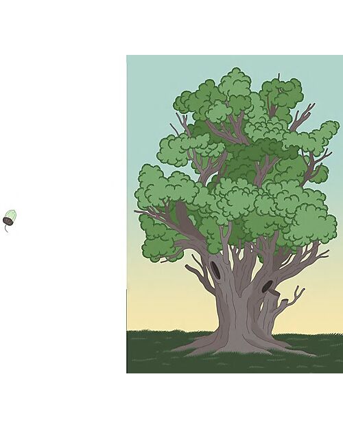 L'ippocampo Ragazzi Libro Illustrato Prima Dopo - Anne-Margot Ramstein & Matthias Aregui Libri