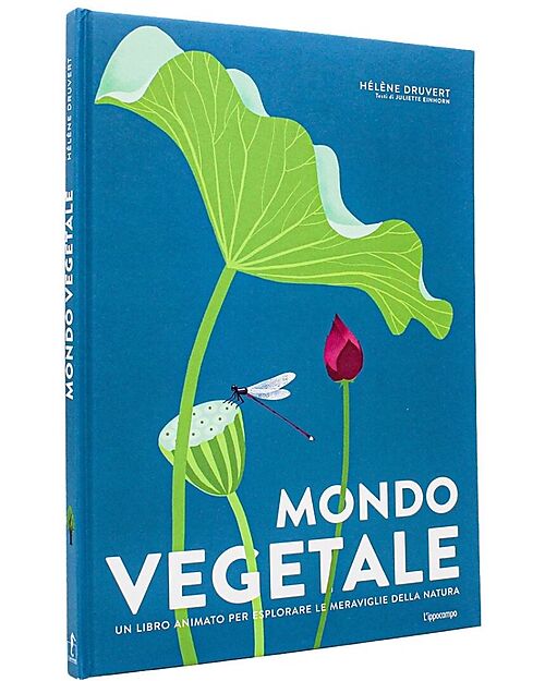 L'ippocampo Ragazzi Mondo Vegetale - Un libro Animato per Esplorare le Meraviglie della Natura - Hélène Druvert Libri