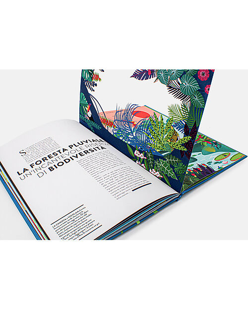 L'ippocampo Ragazzi Mondo Vegetale - Un libro Animato per Esplorare le Meraviglie della Natura - Hélène Druvert Libri