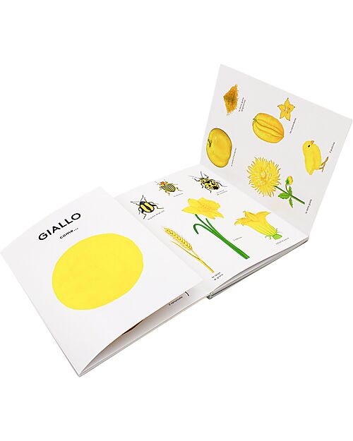 L'ippocampo Ragazzi Rosso Come.. - Edizione Illustrata - di Pascale Estellon Libri