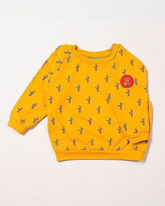 Little Green Radicals Felpa Maniche Lunghe Stile Raglan - Golden Forest - 100% cotone bio Felpe