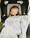 Little Unicorn Copertina Neonato Deluxe 75 x 100 cm - Rainbows & Raindrops - 100% Mussola di Bambù Swaddle di Mussola