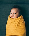 Little Unicorn Mussola Milleusi - 100% mussola di cotone - 120x120 cm - Mostarda Swaddle di Mussola