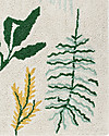 Lorena Canals Grande Tappeto Lavabile Botanic Plants - 140 x 200 cm Tappeti Arredo