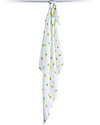 Lulujo Baby Copertina Swaddle 120 x 120 cm, Api -100% mussola di cotone Swaddle di Mussola