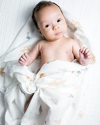 Lulujo Baby Copertina Swaddle 120 x 120 cm, Cerbiatti e Coniglietti - 100% mussola di cotone Swaddle di Mussola