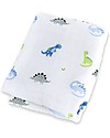 Lulujo Baby Copertina Swaddle 120 x 120 cm, Dinosauri -100% mussola di cotone Swaddle di Mussola