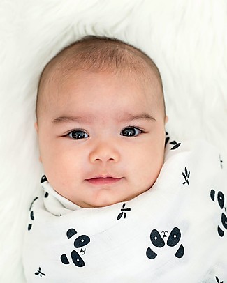 Lulujo Baby Copertina Swaddle 120 x 120 cm, Panda - Mussola di Bambù Coperte