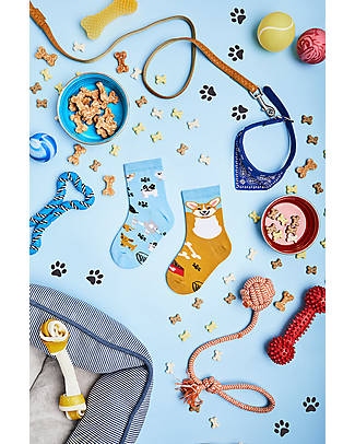 Many Mornings Calzini per Bambini - Playful Dog - Cotone Pettinato Calzini