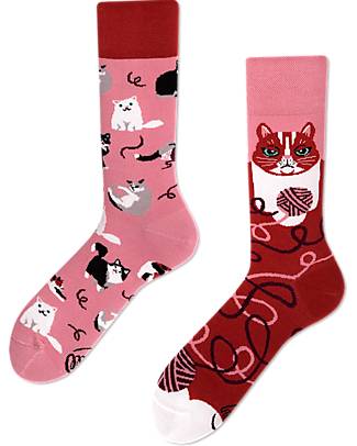 Many Mornings Calzini Regular - Playful Cat - Cotone Pettinato Calzini