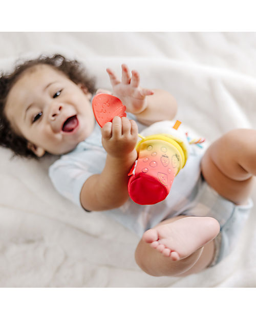 Giochi Neonato Sonagli Sensoriali per Bambini, Calzini Da Polso Simpatici  Animal