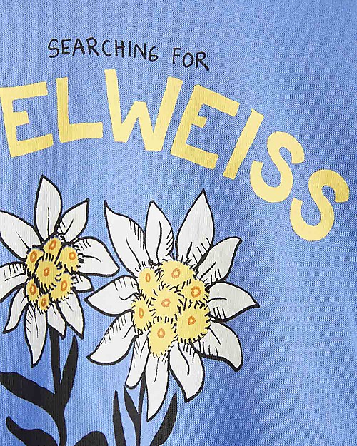 Mini Rodini Felpa Stella Alpina - Blu - 100% Cotone Bio Felpe