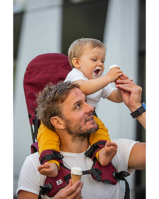 Minimeis Zaino Portabebè Minimeis GP4 - Burgundy - Da 6 mesi a 5 anni! Zaini Porta Bebè