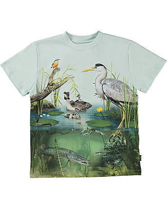 Molo Maglietta Maniche Corte - Pond Life - 100% Cotone Bio GOTS T-shirt