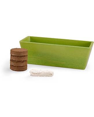 Moulin Roty Kit Coltivazione Basilico - Il Giardino del Mulino - Agricoltura Bio Giochi da Giardinaggio