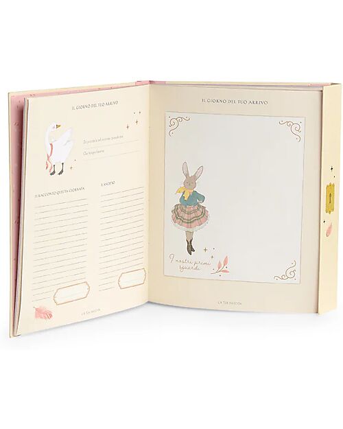 Moulin Roty Libro Nascita 80 Pagine - Ecole de Danse - 19.5x24 cm  Album e Cofanetti