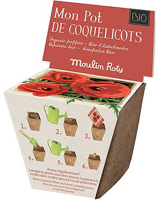 Moulin Roty Vaso Coltivazione Papaveri - Il Giardino del Mulino - Agricoltura Bio Giochi da Giardinaggio