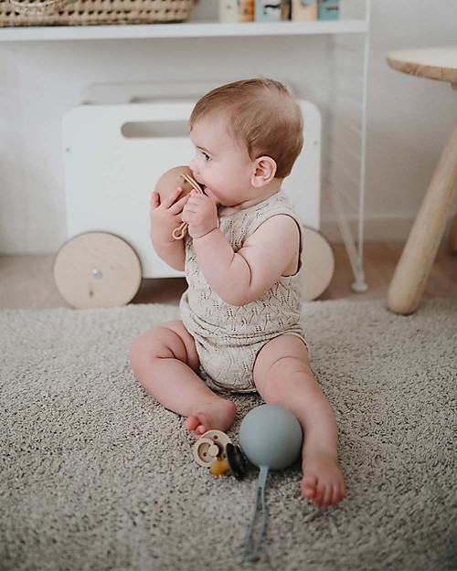 Mushie Custodia Porta Ciuccio - 100% Silicone Alimentare - Grigio Ciucci