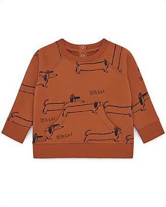 Nadadelazos Felpa Baby - Waldi - 100% Spugna di Cotone Bio Felpe