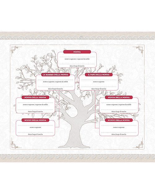 Nonna Nonno NONNA: Il regalo più bello per la nonna! "Nonna Parlami di Te" Un libro che la vostra nonna si divertirà a completare e che diventerà un tesoro per tutta la famiglia Libri
