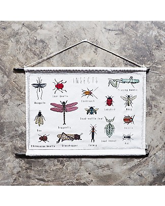 Numero 74 Kit Ricamo School Poster - Insetti - 50x30 cm Kit Fai Da Te