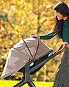 Nuna Passeggino Demi Grow con Cappottina Estiva - Timber - Da Singolo Diventa Doppio! Passeggini Gemellari