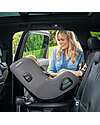 Nuna Seggiolino Auto Todl Next - Granite - dalla Nascita a 4 Anni
 Seggiolini Auto Gruppo 1/2/3