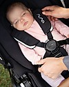 Nuna Trio Triv Riveted con Navicella e Seggiolino Auto Pipa Next Passeggini Trio e Duo