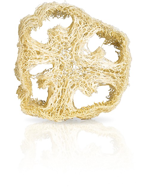 Officina Naturae Portasapone Naturale in Luffa - Spugna Vegetale Italiana - Plastic-free Creme e Olii