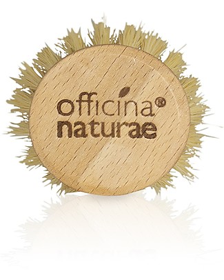 Officina Naturae Spazzola per Piatti - Legno e Fibra Vegetale - Senza plastica! Detergenza Casa