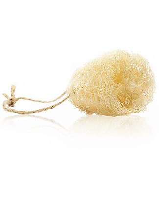 Officina Naturae Spugna per Piatti in Luffa - Stagionale e Naturale! Detergenza Casa