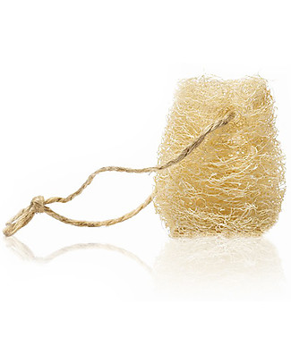 Officina Naturae Spugna per Piatti in Luffa - Stagionale e Naturale! Detergenza Casa