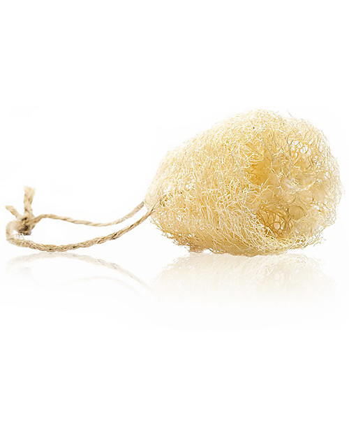Officina Naturae Spugna per Piatti in Luffa - Stagionale e Naturale! Stoviglie