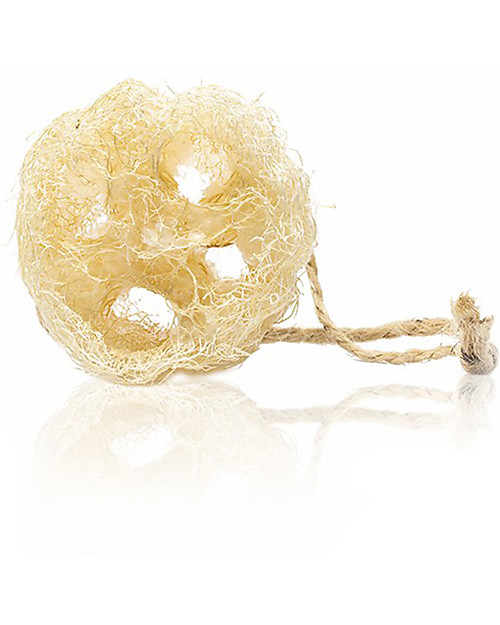 Officina Naturae Spugna per Piatti in Luffa - Stagionale e Naturale! Stoviglie