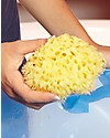 OKbaby Spugna Marina Naturale del Mediterraneo, Arcipelago - Morbida e Resistente! Shampoo e Prodotti per il Bagnetto
