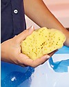 OKbaby Spugna Marina Naturale del Mediterraneo, Fine Dama - Per Pelli Sensibili! Shampoo e Prodotti per il Bagnetto