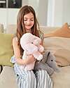 One Love Plush Peluche Ponderato Millie il Barboncino - il Peluche che ti Abbraccia - 34 x 15 x 15 cm - 100% Materiali Riciclati Peluche
