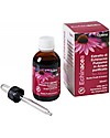 Optima Naturals Echinacea Estratto no alcool Bambini, 50 ml - per Infezioni del Tratto Respiratorio Rimedi Naturali