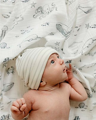 Pehr Copertina in Mussola 100% Cotone Bio GOTS - Animali Marini - 120x120cm Copertine Swaddles