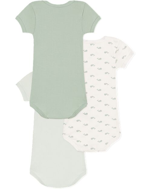 Petit Bateau Body Manica Corta - Pacco da 3 - Verde Salvia - Balene - 100% Cotone Body Manica Corta