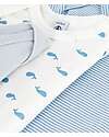 Petit Bateau Body Manica Lunga - Pacco da 3 - Bianco Blu e Beige - Millerighe e Balene - 100% Cotone Bio Body Manica Lunga