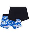 Petit Bateau Boxer - Pacco da 2 - Blu - Giappone - 100% Cotone Slip