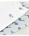 Petit Bateau Set 3 Body a Maniche Corte - Beige e Bianco - Balene - 100% Cotone Body Manica Corta