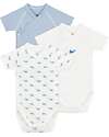 Petit Bateau Set 3 Body a Maniche Corte - Bianco e Azzurro - Millerighe/Balene - 100% Cotone Body Manica Corta