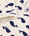 Petit Bateau Tutina Intera in Ciniglia - Balene Marine - Morbidezza Estrema! Tutine Lunghe