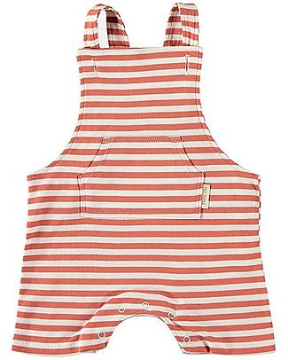 Petit Oh! Salopette Marc - Raya Tierra Vainilla - 100% Cotone Pima Tutine Corte