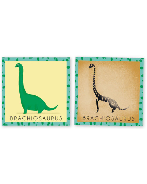 Pirouette Cacahouète Gioco Memory “Il Dinosauro e il suo Scheletro” - Cartone Riciclato Memory