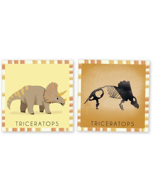 Pirouette Cacahouète Gioco Memory “Il Dinosauro e il suo Scheletro” - Cartone Riciclato Memory