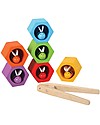 PlanToys Bee Hive, l'Alveare - Educativo e Divertente! Giochi Montessoriani